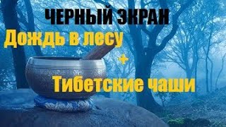 Дождь в Лесу + Тибетские Чаши / ЧЕРНЫЙ ЭКРАН для сна / БЕЛЫЙ ШУМ / Звуки для сна / Быстро Заснуть