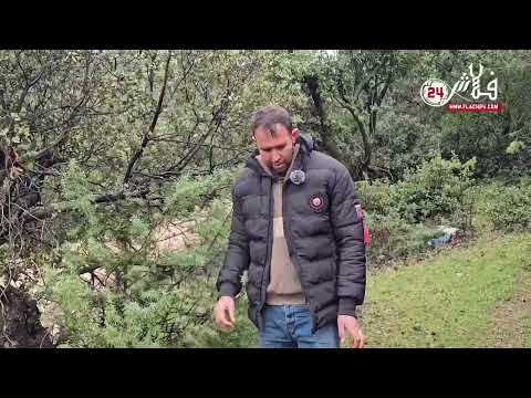 سرقة بدوار كومش بجماعة ايت ام البخت بني ملال بقرتين وعجل في جنح الظلام تابعوا معنا تفاصيل السرقة 