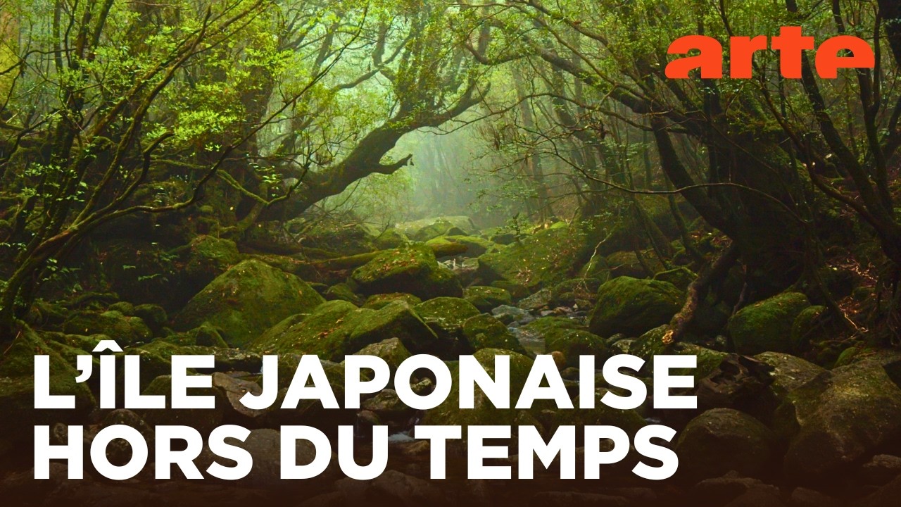 Yakushima, la forêt enchantée - ARTE Évasion