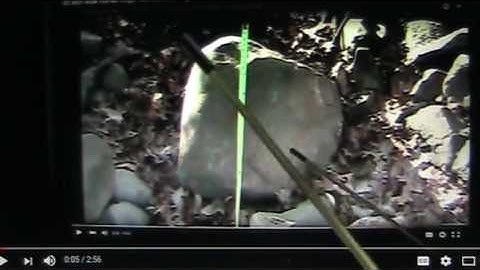 Mudfossils part 18 ..The origin of Stonehenge