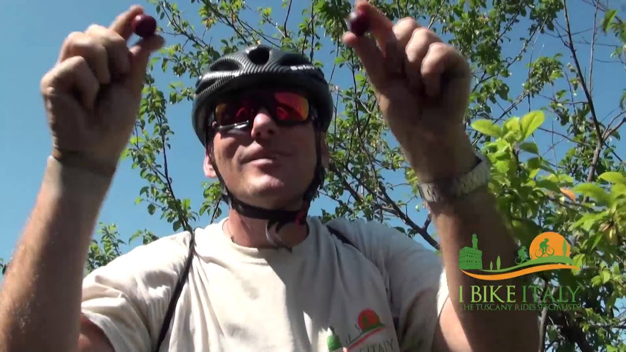 Florence and a Taste of Tuscany - Half Day Bike Tour