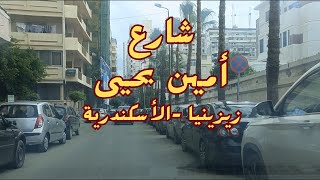 جولة فى شارع  أمين يحيى - زيزينيا - الأسكندرية