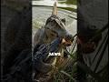 Spinosaurus in The Florida Everglades #animals #animalfacts #dinosaur