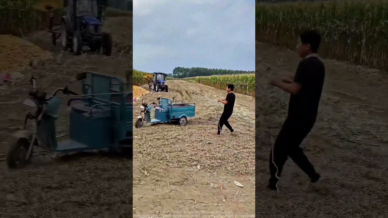 Pressing Peanut Pods with a Long Stick: 10x Faster Than Manual Labor—Farmers Say: This is Amazing!