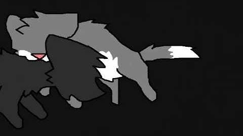 Fighting/VS MAP Part 1