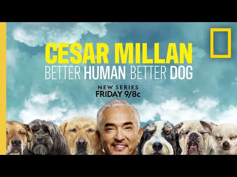 Cesar Millan: BHBD | Nat Geo - Friday 9/8c - Cesar Millan is back! The world and its “pet parents” have changed since the dog behavior expert made his television debut 16 years ago.