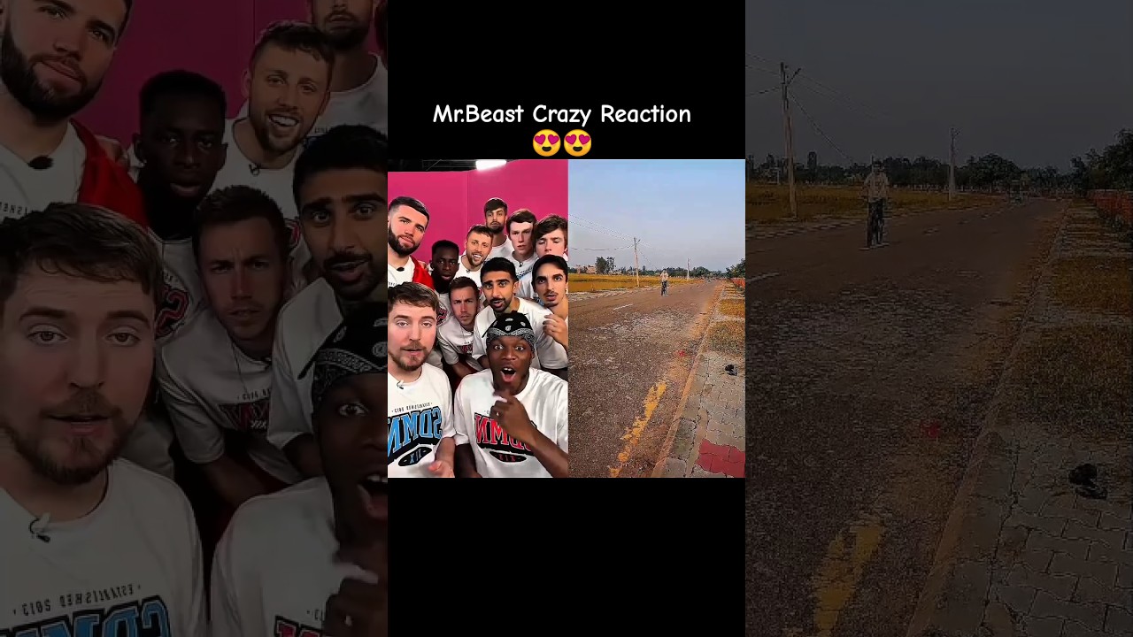 Mr Beast Crazy Reaction On My Wheelie Practice 😍😍