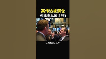 【英伟达突然被清仓：AI狂潮见顶了吗？投资者必须看懂的信号】#特斯拉股票 #美股 #股哥说美股 #tesla #马斯克 #AI #FSD #木头姐 #Robotaxi