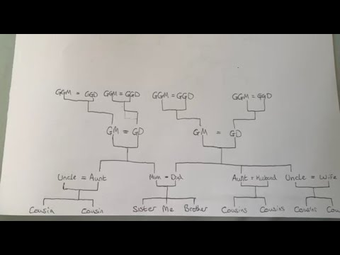 Video: How To Draw Your Family Tree