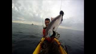 Serviolas a Jigging desde kayak