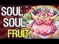 The Soul-Soul Fruit Explained! - One Piece Discussion | Tekking101