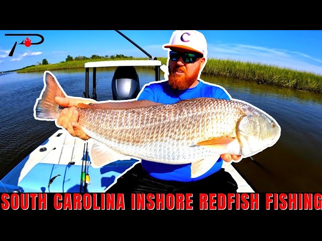 South Carolina Inshore Redfish Fishing 