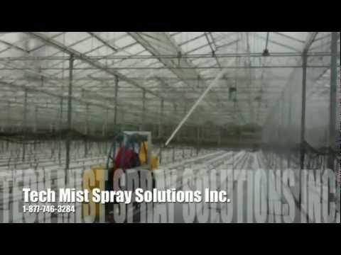 वीडियो: गिरावट में ग्रीनहाउस: कीटाणुशोधन, मिट्टी की तैयारी