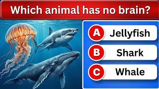 Can You Answer These 26 Tricky Questions? 🧠 Ultimate Trivia Challenge