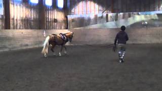 Cosan 140316
