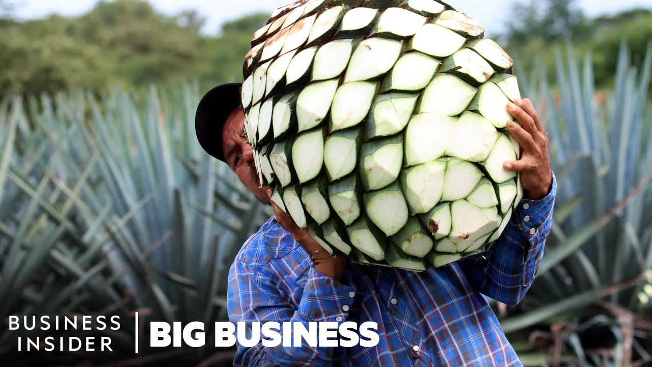 ⁣Mezcal Is The Fastest-Growing Liquor In The US. Why Aren't Mexican Producers Cashing In?