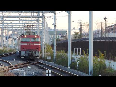EF81134+651系1000番台配給