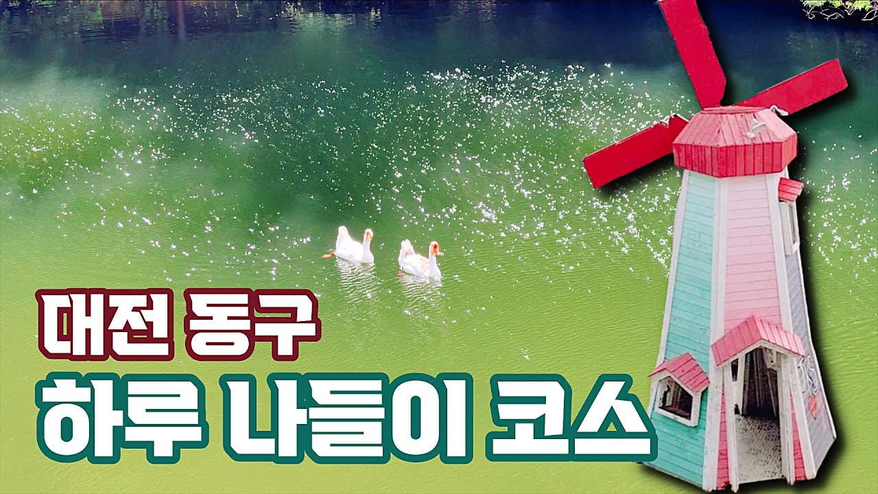 한밭 100년 켜켜이… 폐허인 줄 알았는데 복고 감성 카페촌 | 한국일보