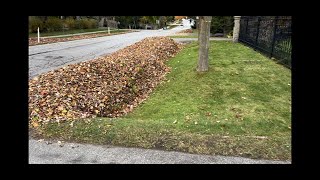 HUGE SOLO LEAF CLEANUP HOW TO MAKE $200 AN HOUR (mulch the leaf's or leaf blow the leaf's?