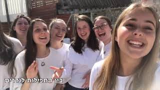 Shevet Achim V'Achayaot - Camp Moshava IO Mishpachot and Staff 2019