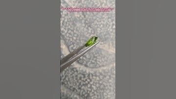 Đá Peridot Tự Nhiên #daquy #phuongdaquy #shortvideo #shortsvideo #shorts #short #shots #peridot #gnj