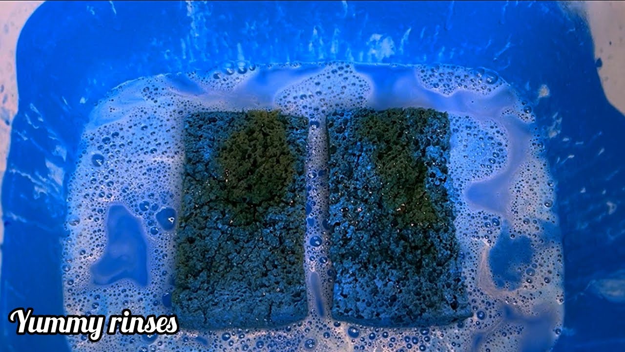 Full blue rinse and news sponges 💙Squeezing sponges Asmr