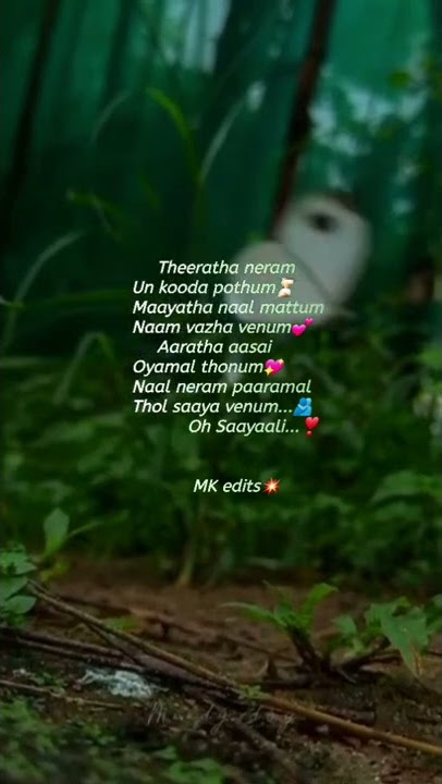 Theeratha neram unkuda pothum lyrics... Oh Saayaali song lyrical whatsapp status.
