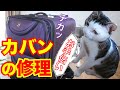 【猫動画】子猫が手作りDIYのお手伝い　キャリーバッグ　家猫 生活73日目　野良猫が幸せになるまでの動画＃121　Funny cats Kittens help handmade DIY Bag