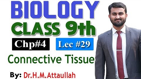Connective Tissues | Chapter 4 | 9th class Biology | Lec 29