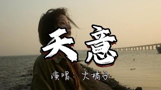 大橘子 - 天意『如果说 一切都是天意 一切都是命运 终究已注定。』『动态歌词MV』#翻唱 #经典老歌 #推荐好听的歌曲 #分享