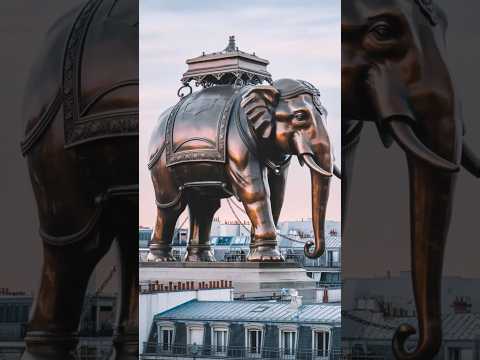 نماد قبلی پاذیس