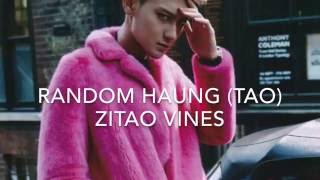 Huang Tao Zitao Vines