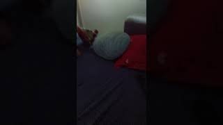 bed cushion✌️🥀
