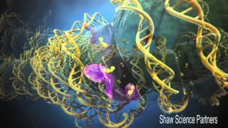 Acetylation in Oncology