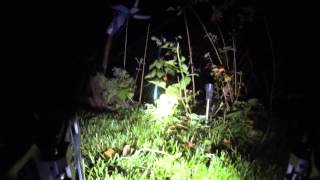 PhantomX @ Phoenix, FPV NightOP