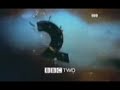 bbc2firecracker2000