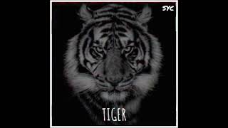 ROAR || KATY PERRY || LYRICS || WHATSAPP STATUS || #SYC #MOOD #BLACK #TIGER