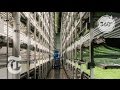 A Vertical Farm Grows In Newark | The Daily 360 | The New York Times