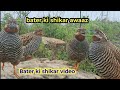 Quail Amazing Hunting Sound рџ Ґ Bater Ki Original Sound Quail Hunting Sound Gundri Awaaj Quail Amazing Hunting Sound рџ Ґ Bater Ki Original Sound Quail Hunting Sound Gundri Awaaj