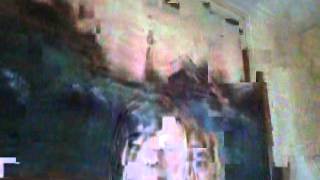 Capture 20121205