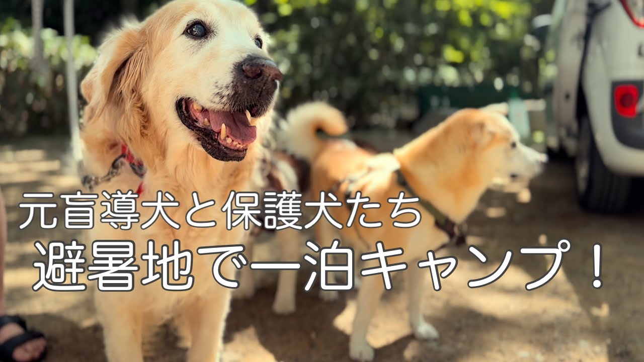 ひるがの高原キャンプ場で過ごした2025年　夏の思い出