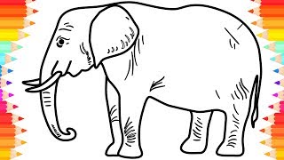 elephant drawing draw step learn children coloring