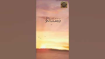 ولقد جعلنا فى السماء بروجاً - سورة الحجر - القارئ هزاع البلوشى