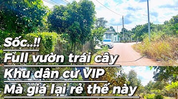 Chịu Không Nổi tình hình hiện tại anh hiếu quyết định bán gấp vườn trái cây tâm huyết tại bà rịa VT