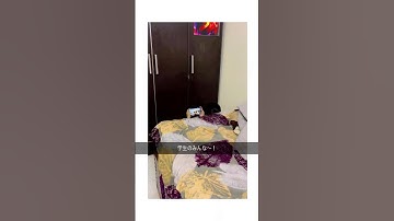 学生のみんな見てて‼️ #fyp #大学生 #blackbox #tutorial #hack #知識 #computerscience #ai #app #education #work #高校生活