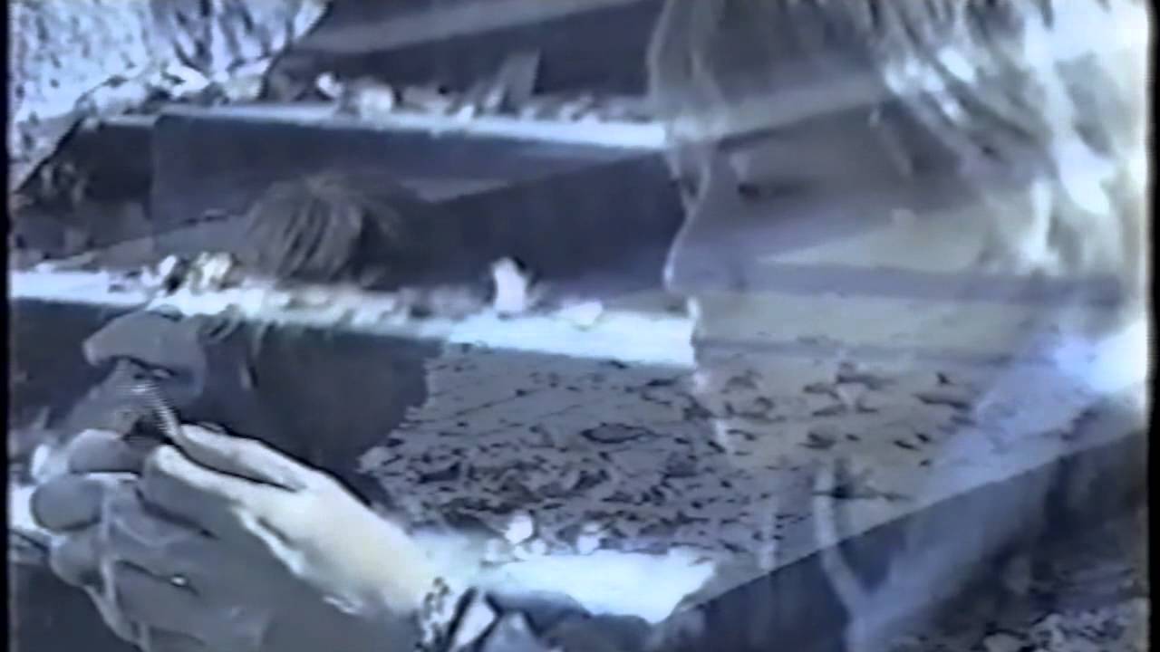 fragile rocking chair/僕を照らす太陽 - YouTube