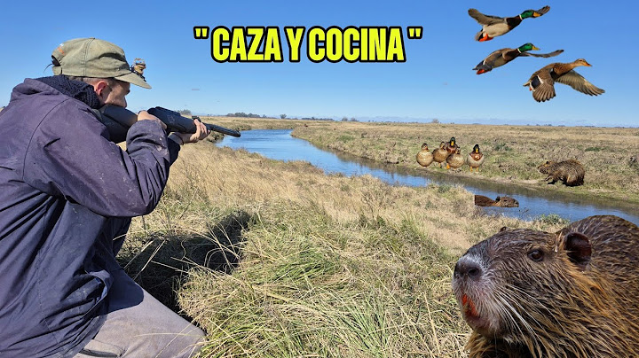 🔥🔥 "DUCK HUNTING" 🎯🦆HUNTING WITH NITRO PISTON RIFLE - FIRE AND COOKING