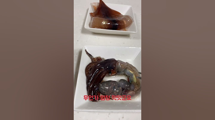오징어 통찜 맛있긴 한데..(내장안에 가득든 이것은?)