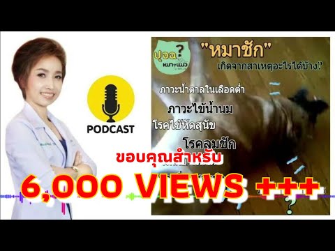 หมาชักเกิดจากสาเหตุอะไรได้บ้าง⁉️ | หมอกาน PODCAST | UPSPOT CHANNEL