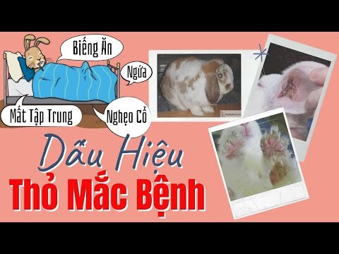 Video: Những nghề bất thường nhất ở Nga